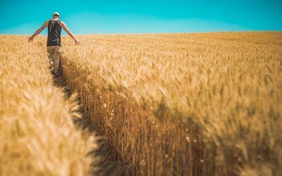 4 pasos claves para alcanzar tus metas