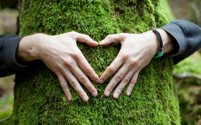 El poder curativo de la naturaleza